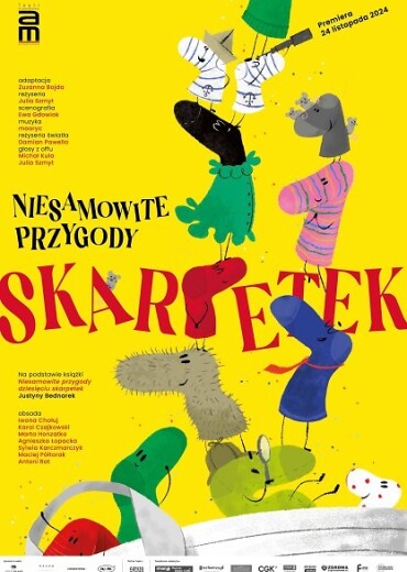 Dla dzieci i młodzieży - Niesamowite przygody skarpetek